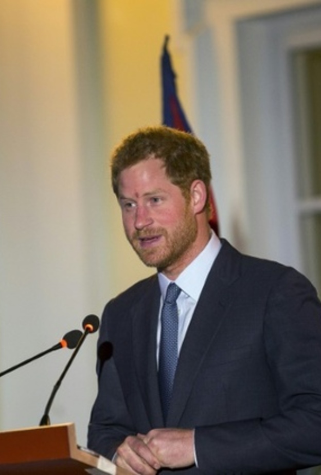 الامير هاري 