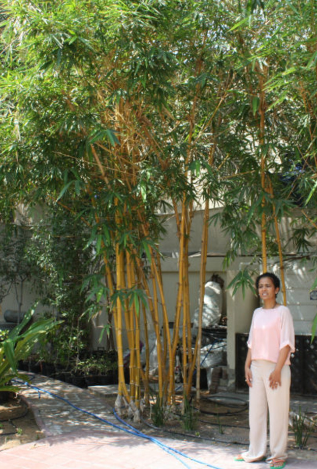 الهوايات الرياضية والنباتات النادرة لها مكان في البيت