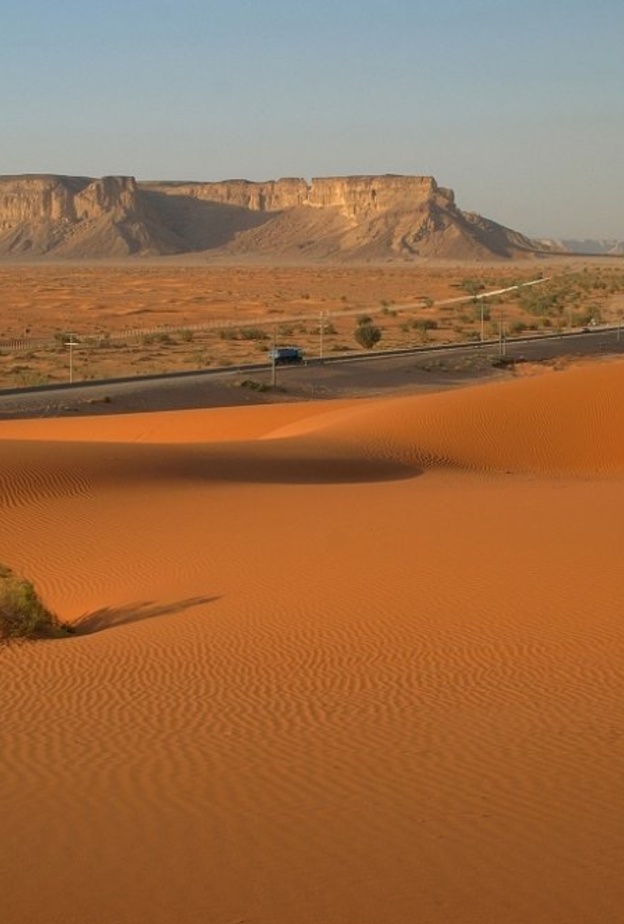 غدا الخميس .. أول أيام موسم طباخ التمر!