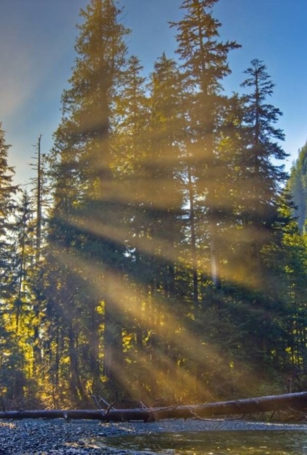 جزيرة فانكوفر في كندا