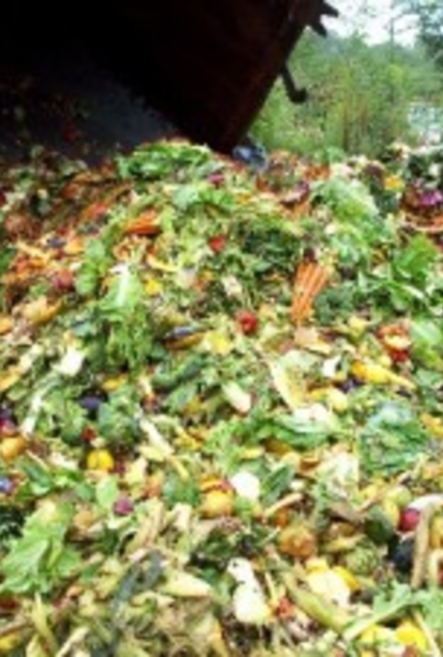 هدر المواد الغذائية