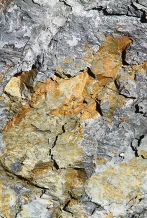 من صور عرق الذهب المنتشرة