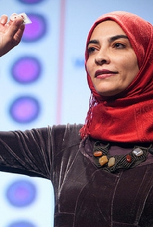 الدكتورة حياة سندي