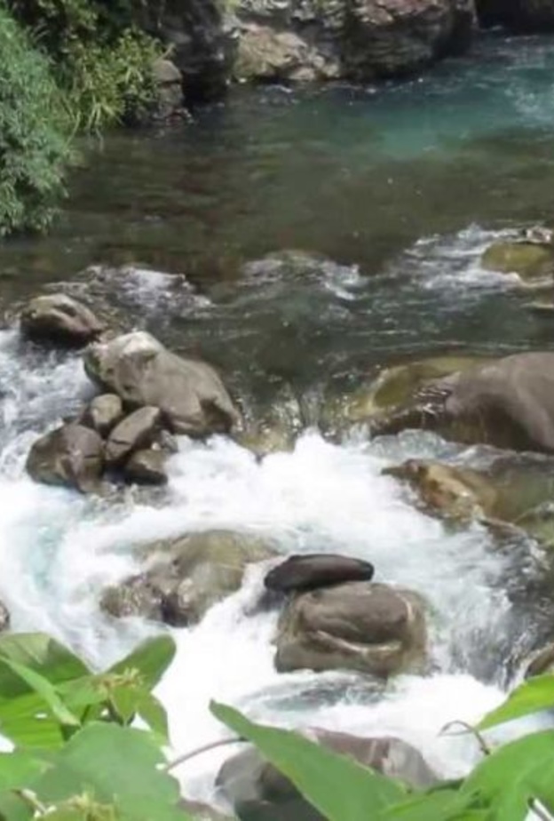 فيديو : سعودي يقع في جدول مياه اثناء شرب الشاي!