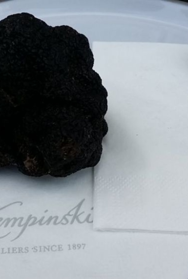 شغف بالكما والسلمون في مطعم برونيلو الايطالي