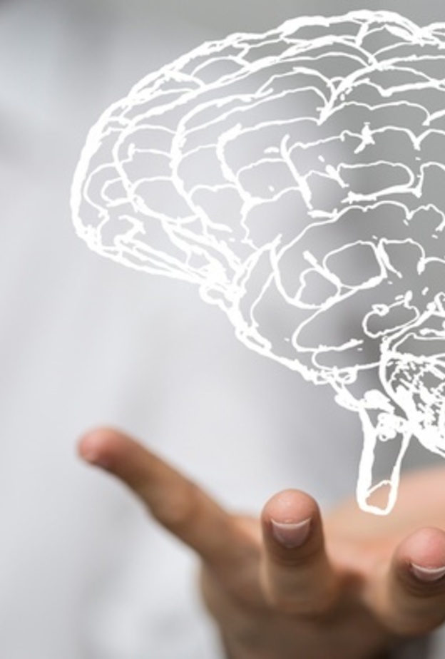 صحة الدماغ