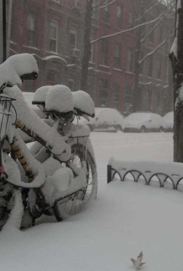 بالصور: العاصفة سنوزيلا تقتل 23 أمريكياً