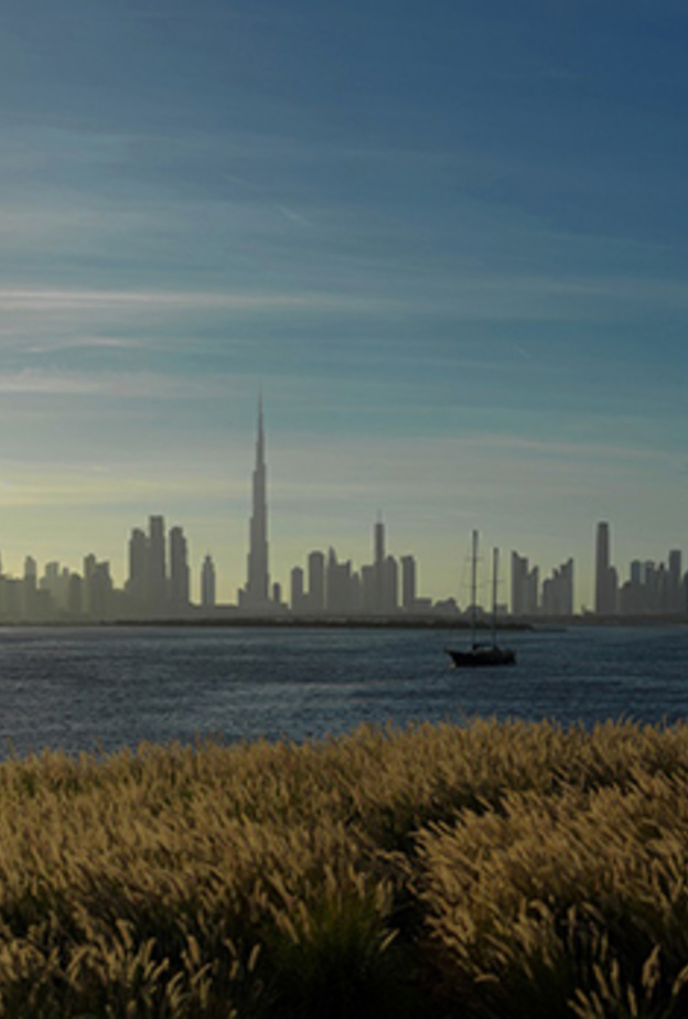 نظرة على فعاليات RiseDCH الترفيهية المميزة في خور دبي