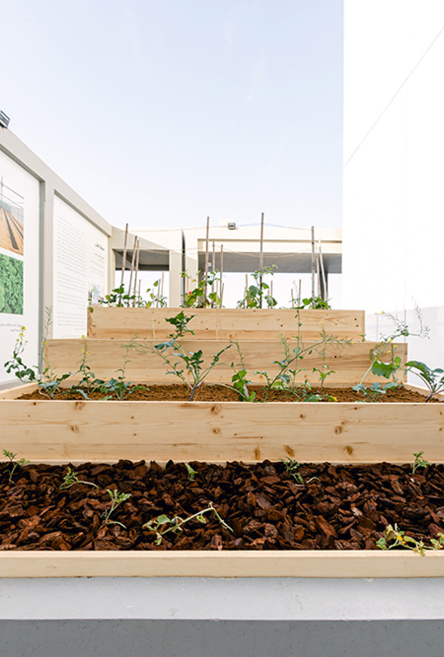 أجندة "مركز جميل للفنون في دبي" لربيع 2020 