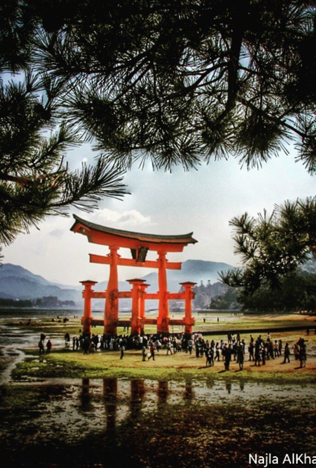 تصوير نجلاء