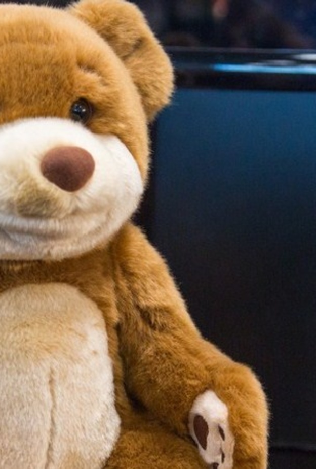 دب محشو للاتصال بالانترنت ومحادثتك