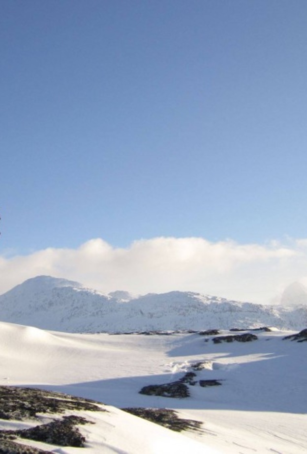  بعد الكويتي ناصر هل سيحمل دخيل الله العلم السعودي في القطب الشمالي