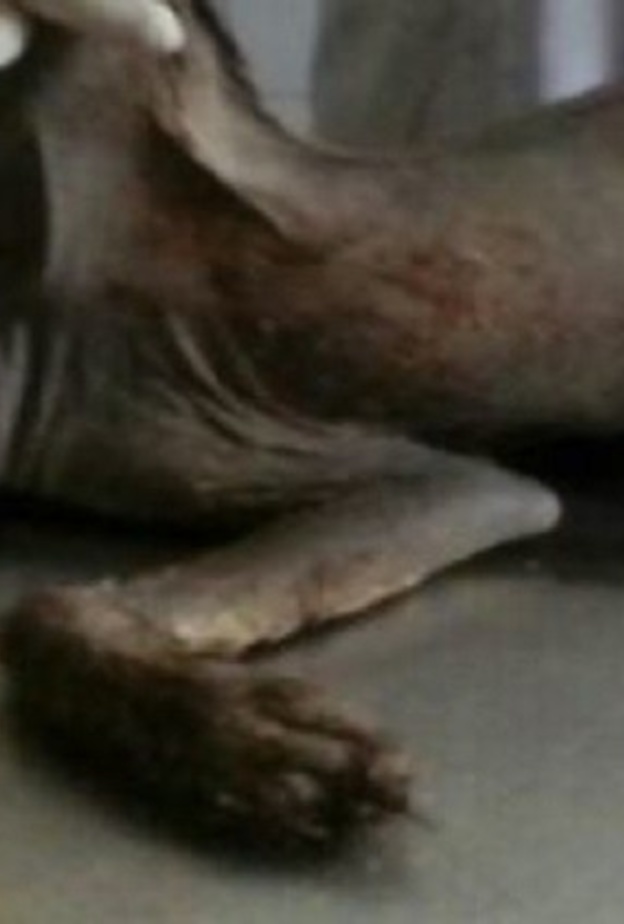 اوصاف مختلفة