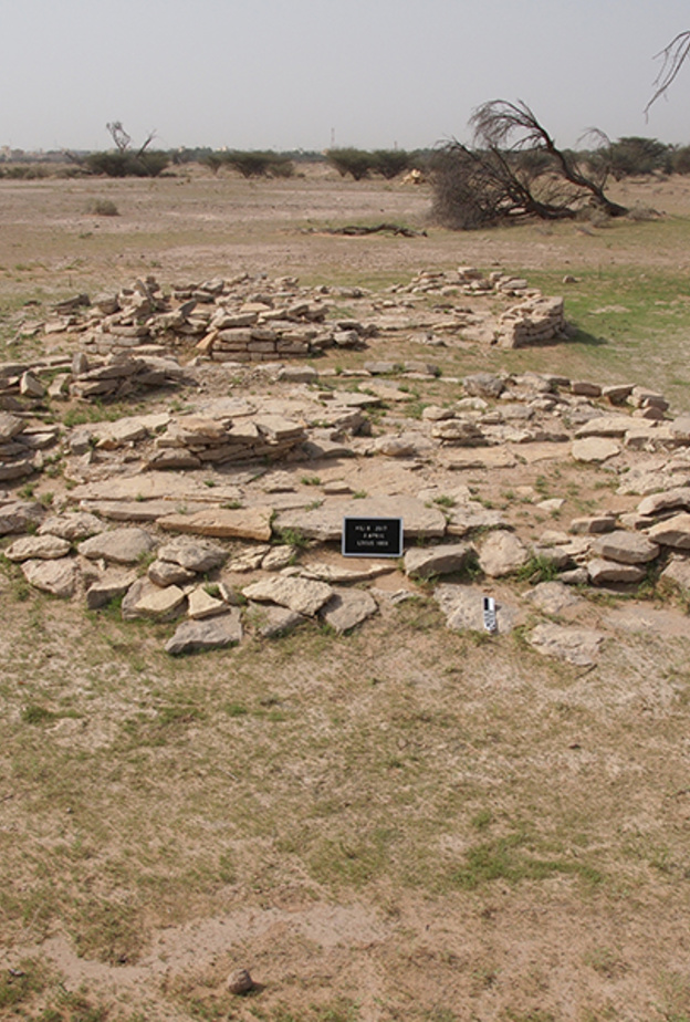 هيلي 8 ..  أحد أقدم مواقع الاستيطان الزراعي في الإمارات العربية المتحدة