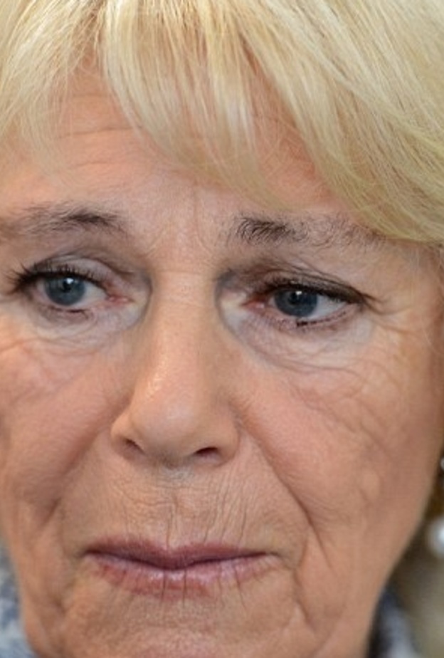 دوقة كورنوال تذرف الدموع تأثرا بقصص عنف مروعة