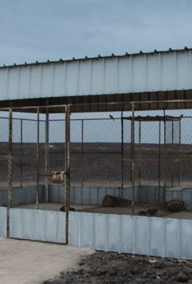 تاريخ التصوير الفوتوغرافي في المملكة العربية السعودية في معرض "لقطات سعودية" في دبي