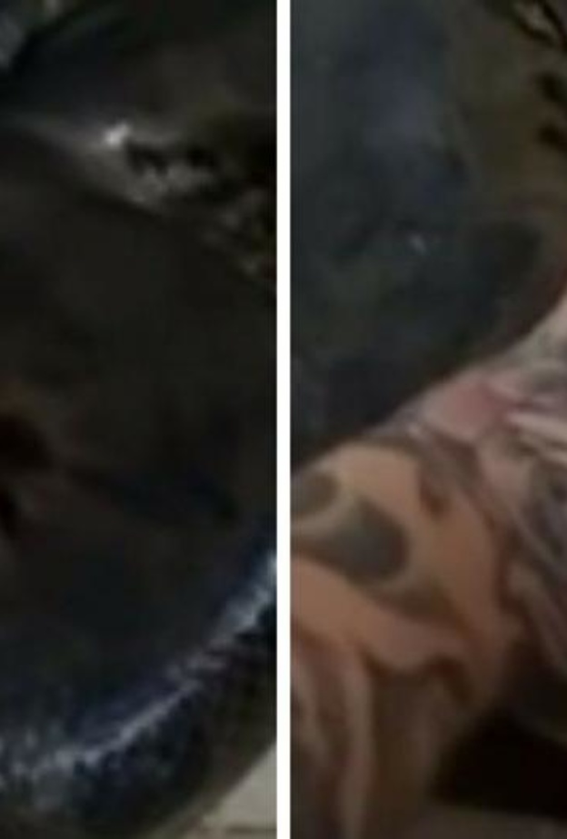 ثعبان ضخم في المطبخ