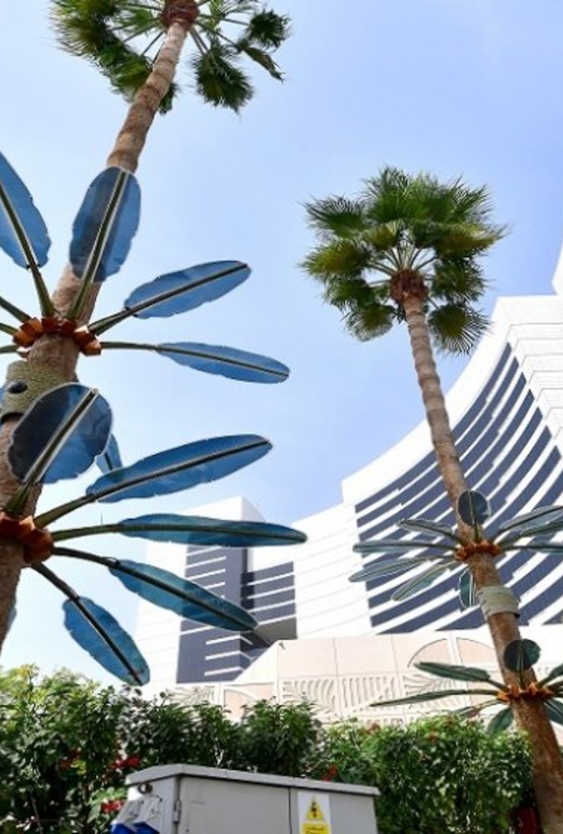 شجرة إنترنت الأشياء الذكية في دبي .. تنتج الطاقة المستدامة وتقوم بمهام كثيرة