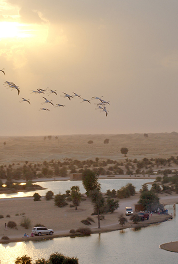 المرموم - وجهة مثالية لعشاق الطبيعة