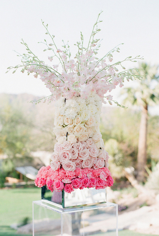 سنتربيس جميلة من اللون الزهري الاومبري