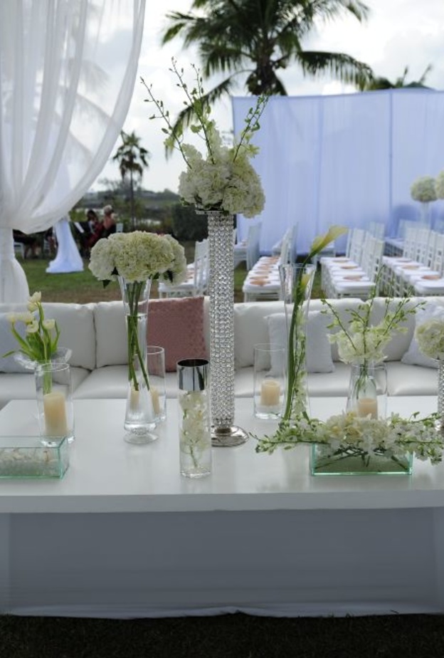 البرادي البيضاء لأناقة مميزة