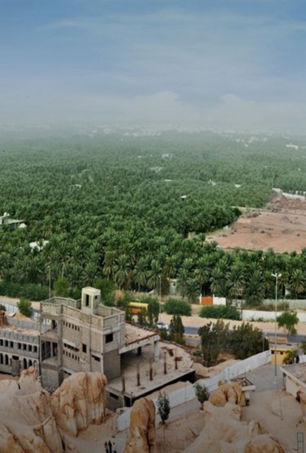 واحة الأحساء.. جنة ساحرة من بساتين النخيل وأكبر واحة طبيعية بالعالم © Saudi Tourism