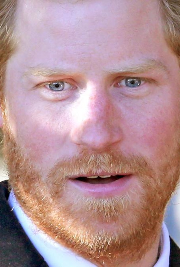 الامير هاري