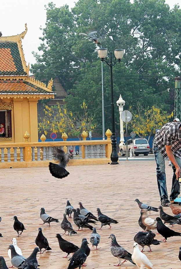  التجول في منطقة سيسوواث كواي