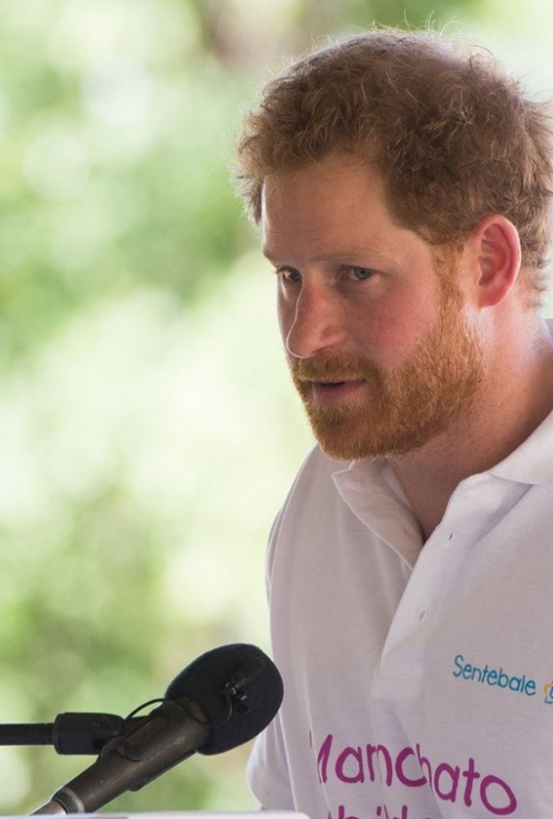 الأمير هاري