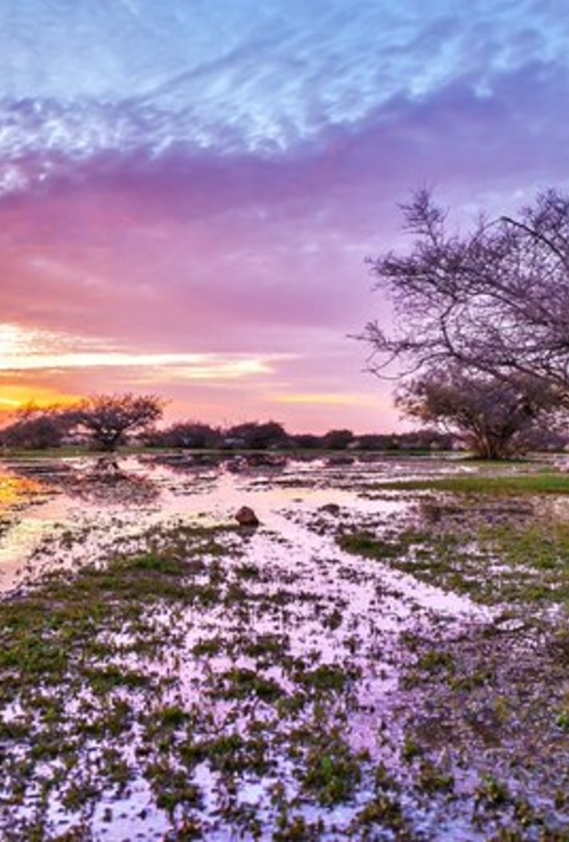 الحدود الشمالية 