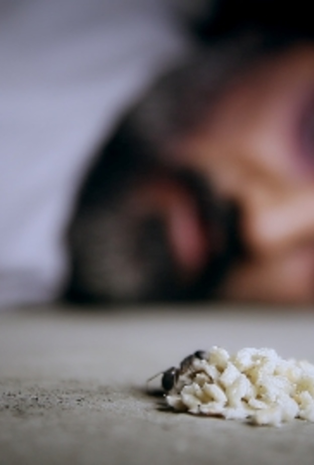 لقطة من فيلم نملة آدم