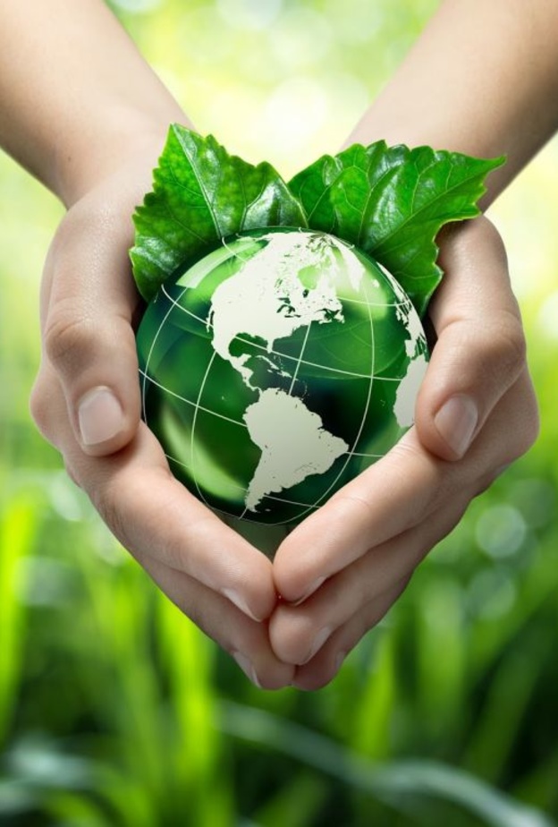 الشباب السعودي يبحث عن تطوير البيئة 