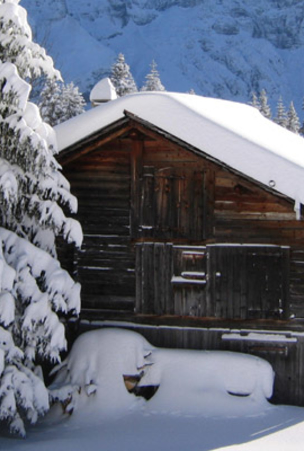 أدفأ شهر ديسمبر على سويسرا منذو 150 عام