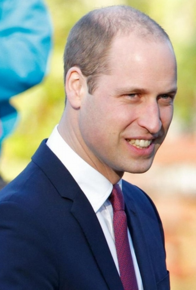 الامير وليام 