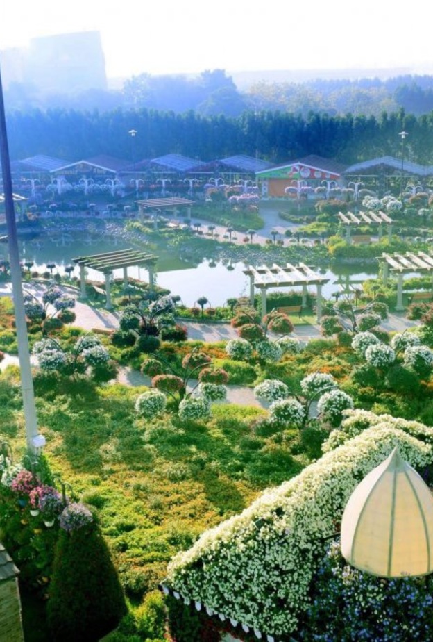 افتتاح الحديقة المعجزة بموسمها السادس يوم 7 نوفمبر 2017