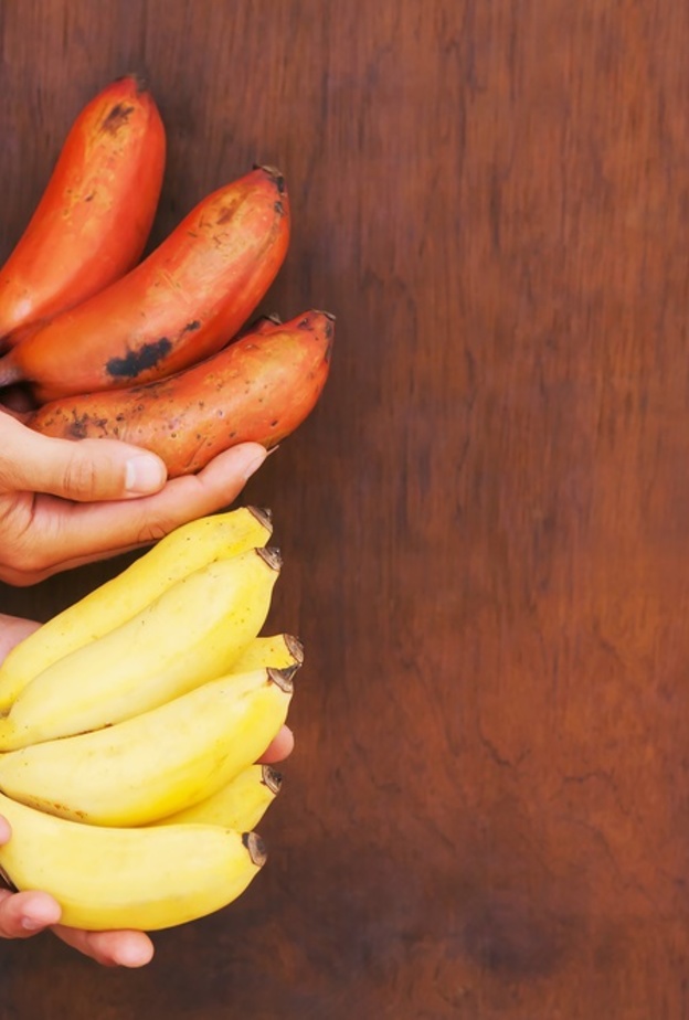 فوائد صحية و جمالية عديدة للموز الاحمر