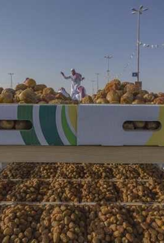 الصورة الفائزة بالمركز الأول 