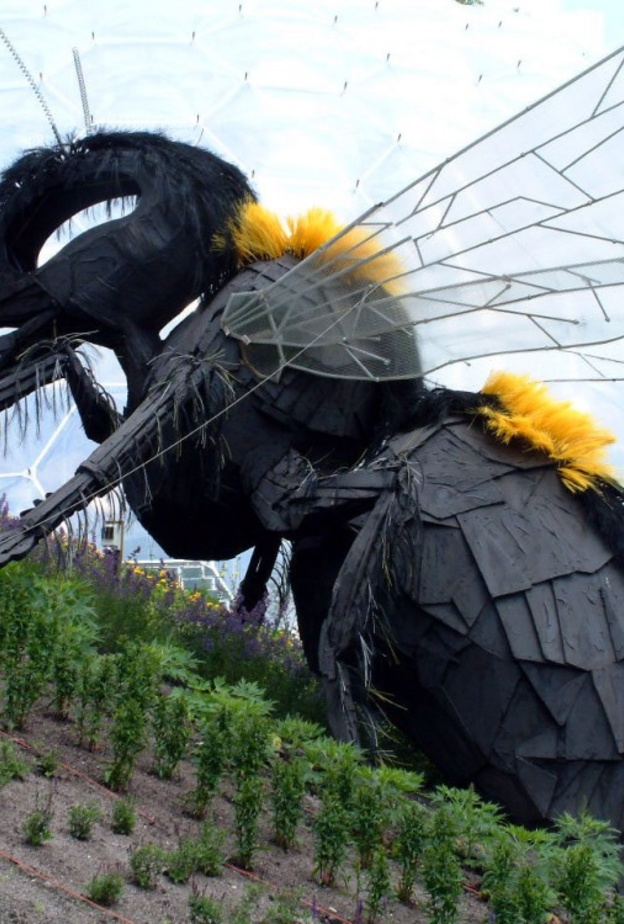 اصطحب أطفالك إلى "مشروع عدن" في كورنوال في إنجلترا