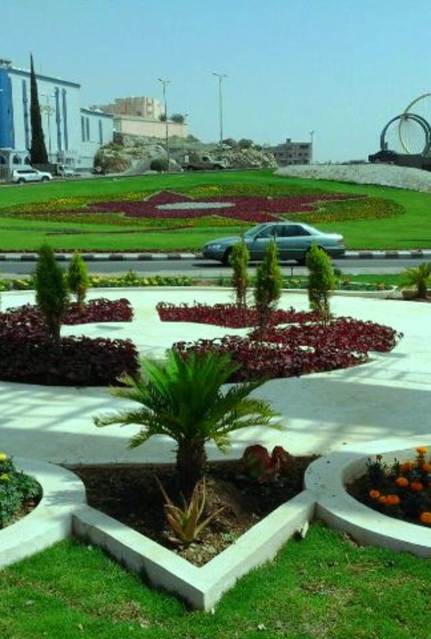 تم زراعة أكثر من 67 ألف زهرة وشجيرة مختلفة الأشكال في شوارع أبها 