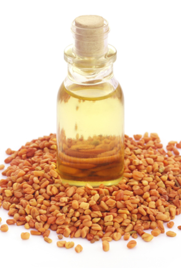 زيت الحلبة يقي من سرطان القولون