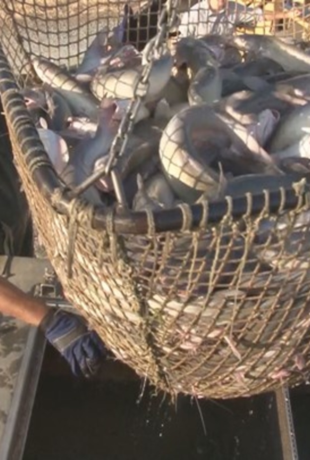 خسائر هارفي و ايرما اقتربت من 300 مليار دولار