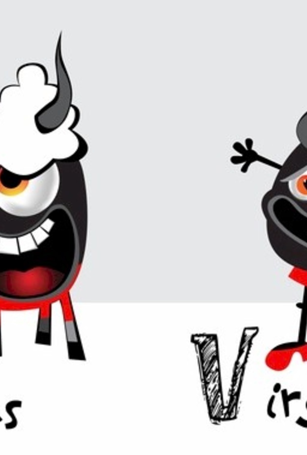 ينتمي كل من برج العذراء والثور الى فئة الابراج الترابية.