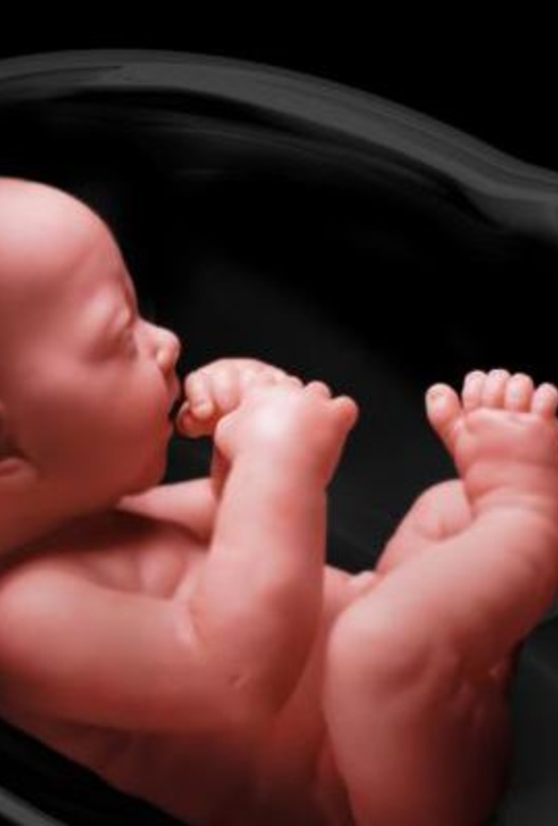 افضل وقت لعمل السونار للحامل