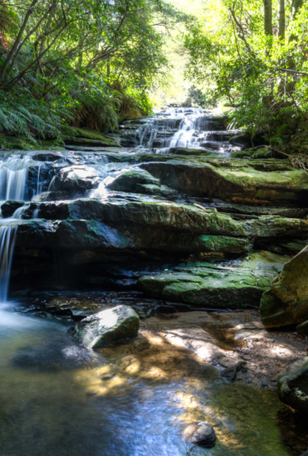 سحر الاقامة في قلب الطبيعة في الجبال الزرقاء أستراليا
