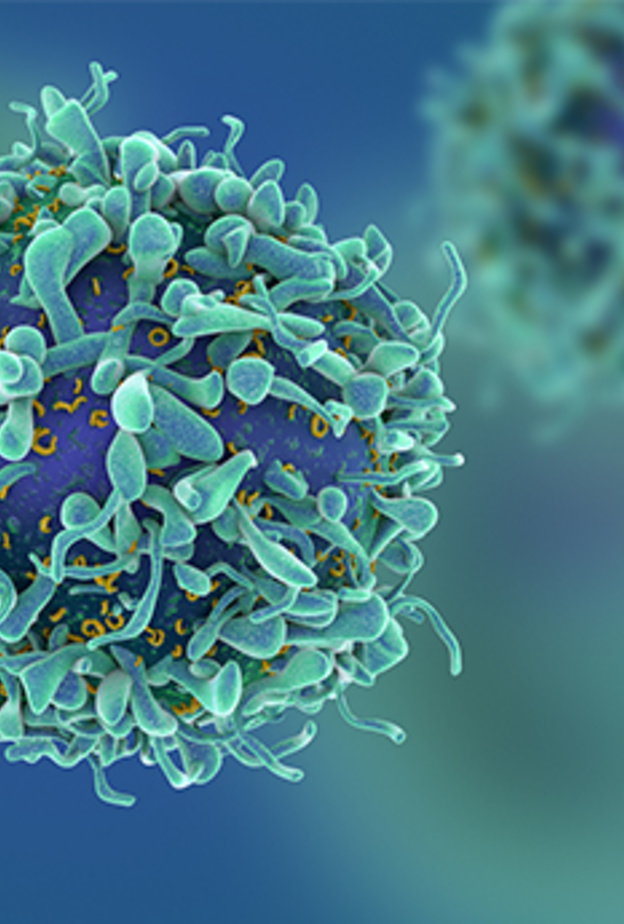 الاكتشاف الجديد يمهد للمزيد من الاكتشافات العلمية الجديدة