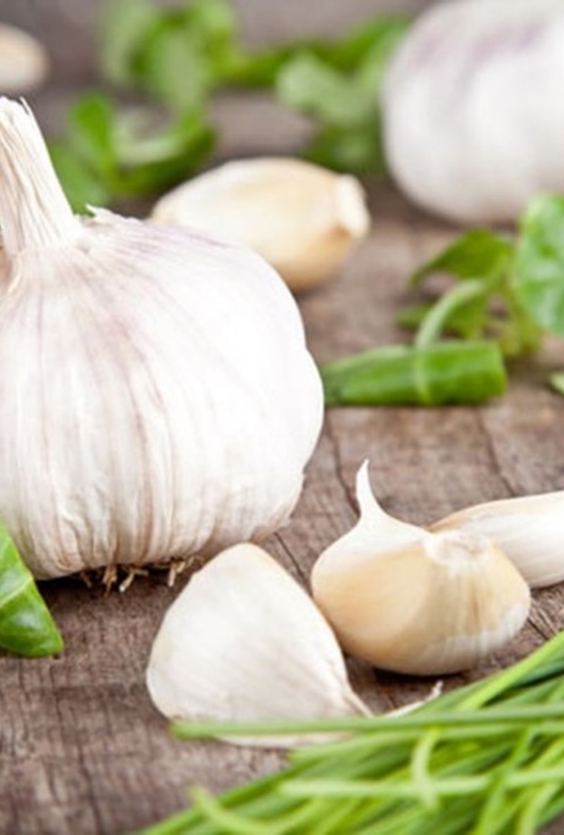 فوائد الثوم لامراض القلب