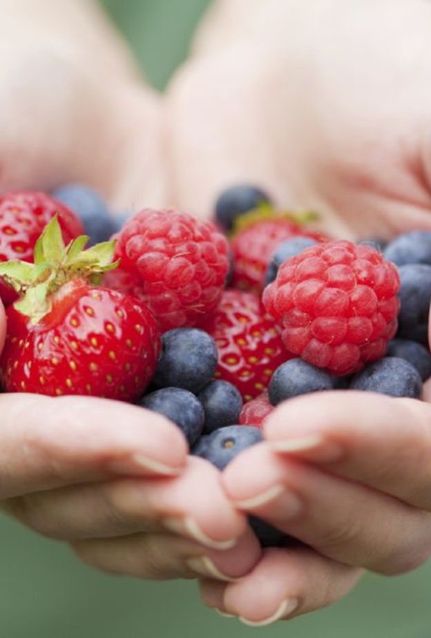 فوائد التوت عديدة في حرق دهون الجسم