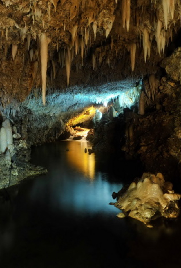 من كهف هاريسون