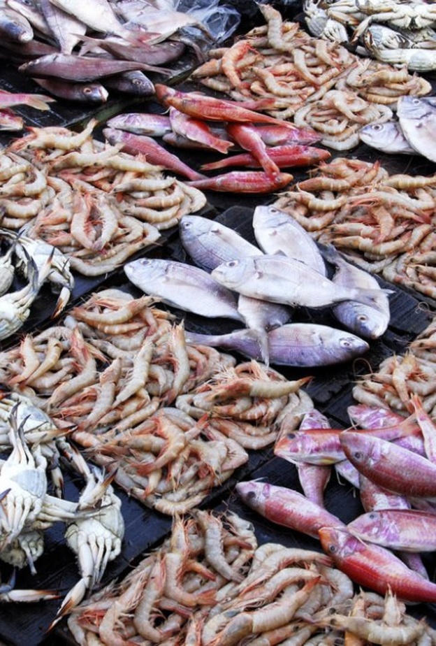 السعودية أعلنت حظر استيراد روبيان "تكساس" وأسماك إيطاليا