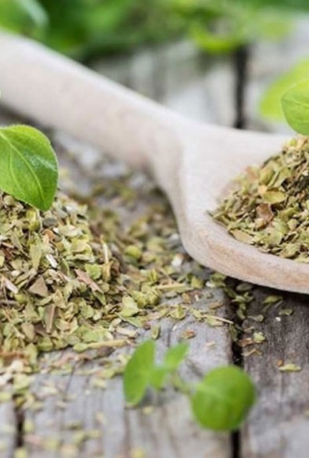  البردقوش ينظم الهرمونات في الجسم